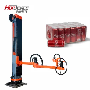 Factory Affordable Cost Combined Palletizing Depalletizing Robot in Russia