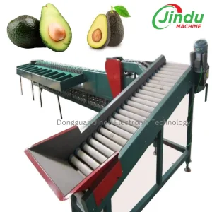 Equipo de Empaque de Aguacate Máquina de Clasificación de Peso y Selección