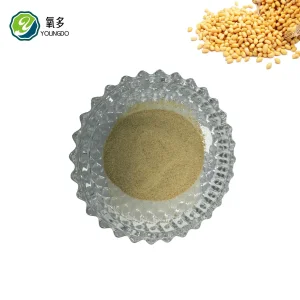 Soybean Meal