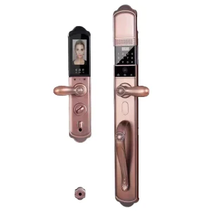 Villa Entrance Smart Lock