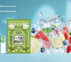 New Fruity Mint Disposable