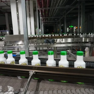 Carbonated Beverage Prodcution Line Branding PLC Mixing Carbonating Filling Labelling Packaging Machines