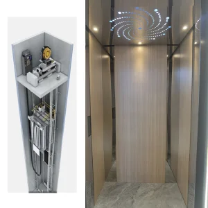 Mr Machine Room Residential Passenger Lift Apartment Small Home Elevator Price