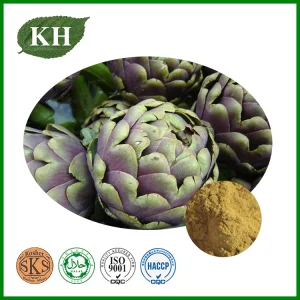 Extrato de Alcachofra HPLC Natural Alto 0.5% 5% Cinarina