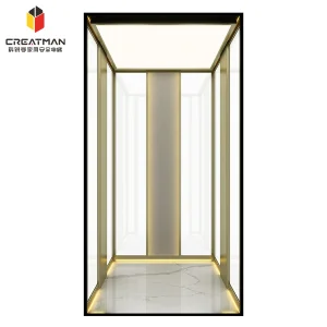Small Footprint Machine-Room-Less Low Pit Requirement Home Villa Sightseeing Residential Elevator