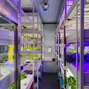 Smart Container Farm