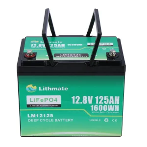 Custom LiFePO4 12V 125Ah Lithium Ion Battery Manufacturers, Supplier