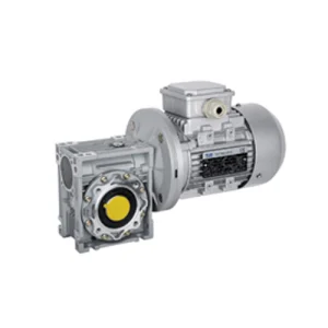 Worm Gear Motor
