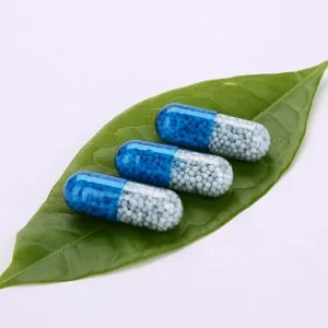 Cognitive Health and Immune Support for Daily Wellness