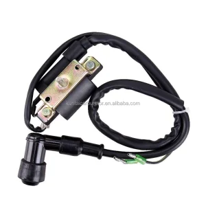 6v Ignition Coil