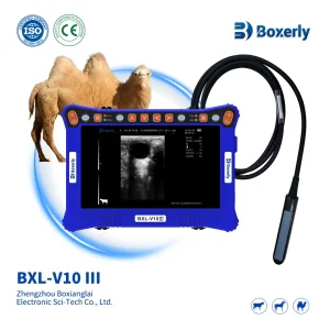 Bxl-V10 III Equipo de Ultrasonido Veterinario Portátil para Ganado Vaca Bovina Caballo