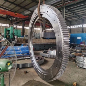 Worm Gear