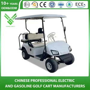 Curtis Controller 4 Seater Classic Electric Golf Cart with Cargo Box for Sale