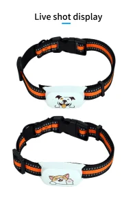 Advanced Pet GPS Tracker with Real-Time Location Updates