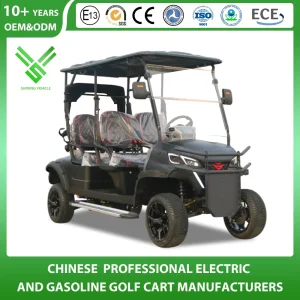 Golf Cart Manfuacturer 2/4/6/8 Seater/Seat Sightseening Hunting Offroad Club Car 48V 72V Utility Mini Lithium Electric Cart for Community Patrol and Management