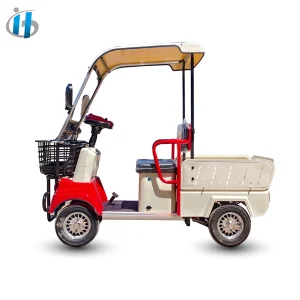 Holladay Hot Sale 4 Wheel Electric Golf Cart with Cargo Basket &amp; Automatic Braking &amp; Wiper Electric 4 Wheel Scooter Range 40Km