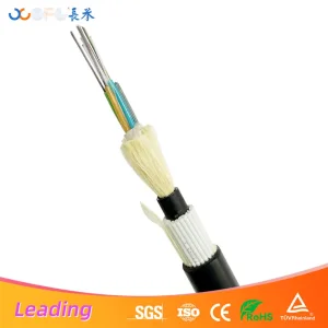 Campus Network Gyftzy63 Flame Retardant Anti-Rodent Cable