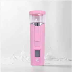 Mini Steamer