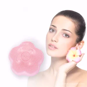 Silicone Brush