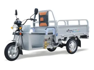 Electric Transport Uganda