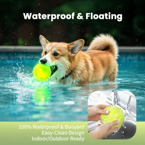 New Arrival Pet Interactive Durable LED Light up Silicon Dog Chew Toy Ball Halloween Glow in The Dark Puppy Toy Ball