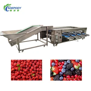 Tropical Fruits Sorting Machine