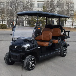 Off Road Street Legal Electric Golf Cart