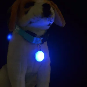 Dog Cat Pet Collar Light Waterproof LED Safety Night Walking Lights Keychain