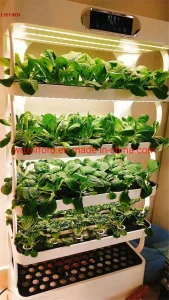Indoor Home Gardening 5 Shelves Herb Hydroponics Growing System Kitchen