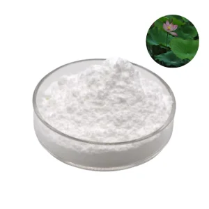 High Quality Pure Natural Lotus Leaf Extract Powder 1% 2% 98% Nuciferine Powder