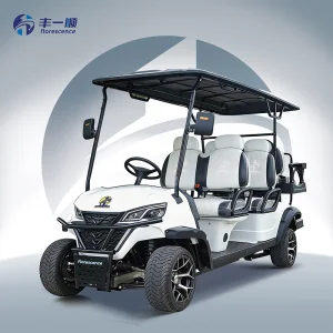48V-72V Off-Road Pink Lithium Battery 6-Seater Electric Golf Cart with CE for Large Resort Facilities