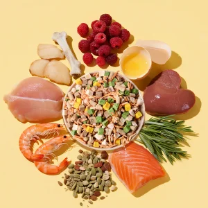 OEM Pet Treat Fresh Meat High-Protein Low Fat Cat Food Add Chicken Beef Egg Yolk Freeze-Dried Grain-Free Formula Pet Food Dry