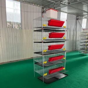 New Multi-Purpose H Type Quail Cage with Removable Waste Tray for Quails &amp; Chicks Small Poultry Easy Clean Wire Mesh Structure