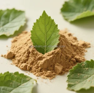 Mulberry Leaf Herbal Extract Powder 2% 1-Deoxynojirimycin Food Grade Natural Plant Supplement