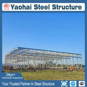 Industry Leading Light Pre-Engineered Steel Building for Building Workshops Plants