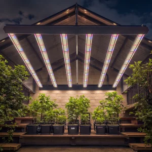 Custom Grow Light Sample