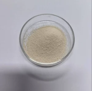 Factory Supply Heat Stable Saccharomyces Boulardii HS5 High Potency Probiotics Powder Raw Material At Good Price