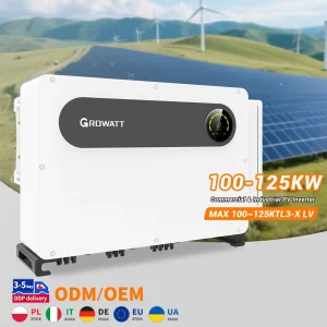 Growatt Max 100~125ktl3-X Inversor Fotovoltaico