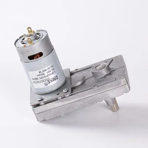 Factory Price 24V/12V Small Brush DC Electric Micro Motor 3000rpm Permanent Magnet for Fan Electric Bicycle Home Appliances