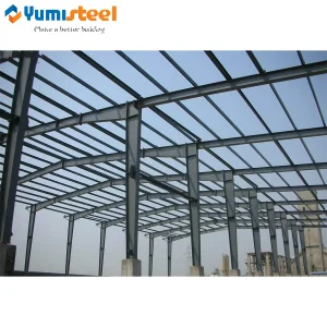 Complete Customized Metal Steel Structural Buildings Frame for Factory/Warehouse/Workshop/Storage/Farm