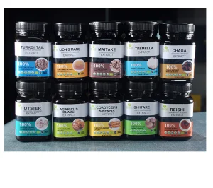 OEM/ODM Herbal 7 Mushroom Extract Powder