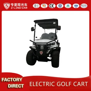 Custom Luxury Golf Cart 4-Wheel 60V Battery 4 Seater Lifted Electric Buggy Stock AC Motor 30-50km/H