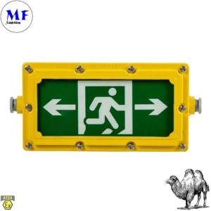 Exit Light