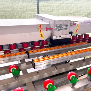 Glass Double Edger Glass Drilling Machine with Edging Glass Drilling Machine with Edging Latest Technology 9 Motors Glass Round Edging Machine Automatic