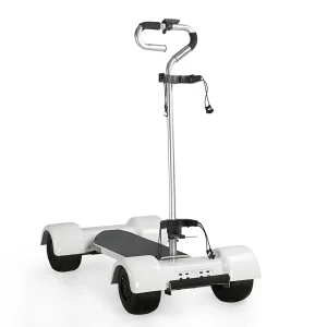 Golfboard 1000W