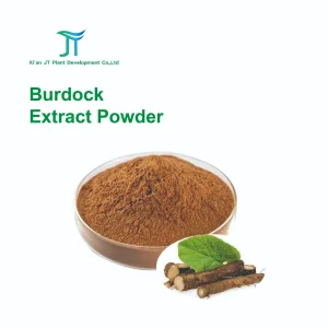 High Quality Burdock Extract Powder 100% Natural Herbal Extract Fully Water-Soluble