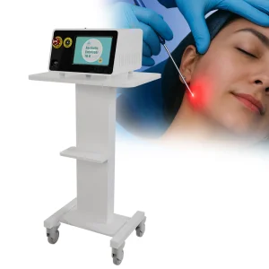 Endolifting Surgery