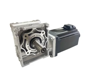 BLDC Worm Gear Motor
