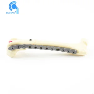 Animal LCP Bone Plate  System for Small Pet Orthopedic Surgery