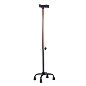 Outdoor Aluminum Cane